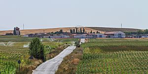 Cordovilla, desde carretera DSA-652.jpg