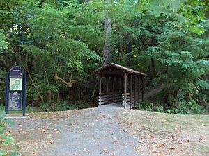 Covered Bridge at Lewisville Park