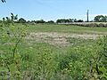 Crag Farm Pit, Sudbourne 1