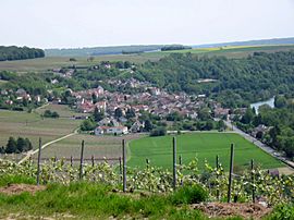 A general view of Crouttes-sur-Marne
