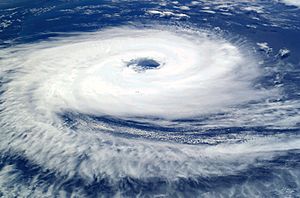 >Cyclone Facts For Kids