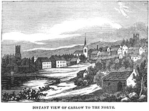 Distant View of Carlow to the North, 1834 (IA jstor-30003959) (page 1 crop)