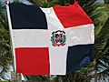 Dominican Republic flag (1)