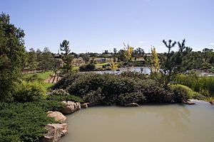 Dubbo garden