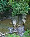Euclid Creek b 7-17-11