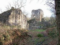 Ewloe Castle - geograph.org.uk - 878422.jpg