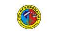 Flag of Koronadal