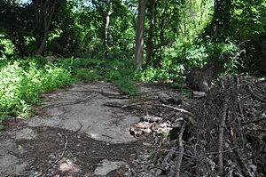 HAMMOCK FARM SITE OF SAMUEL FORD, JR, MORRIS COUNTY