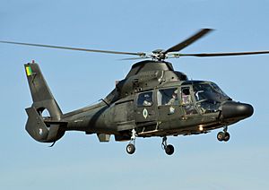 Helicóptero Pantera HM-1 (cropped)