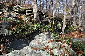 HopkintonRI TomaquagRockShelters1