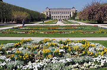 Jardin des Plantes with Natural History Museum in the background, Paris 2014