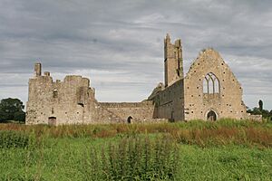 Kilmallock Priory W 2007 08 08