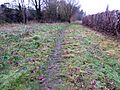 Kirby Frith Nature Reserve 3