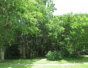 La-Bauve-Young-Payne Home