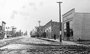 Lake City, Michigan (1890's)