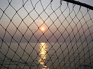 Lake Erie Sunset with fish net