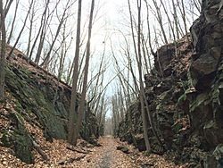 LarkinStateParkTrail-MiddleburyCT.JPG