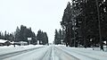 Lincoln, Montana 01