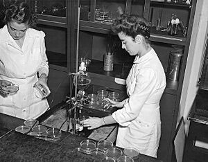 Mary Hunt, believed to be on the left, with a fellow worker inside Peoria’s USDA Northern Regional Research Laboratory, ca. 1943