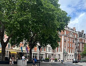 Mayfair House London