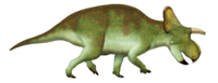 Menefeeceratops.png