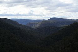 Mount Alexandra's Katoomba Lookout towards the Blue Mountains 2012