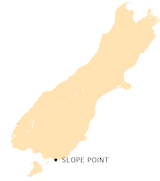 NZ-Slope P