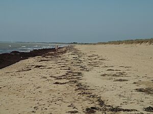 Notre-Dame-de-Monts plageBraie
