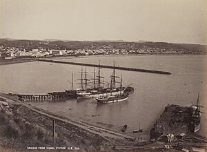 Oamaru Harbour 1890s SLNSW FL1051485