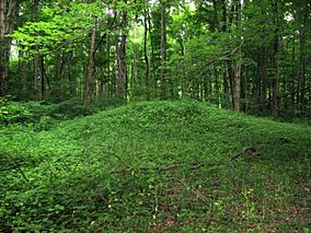 Orators Mound.jpg