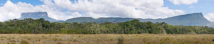 Ptarí and Sororopán tepuis panoramic view