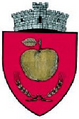 ROU SV Radaseni CoA