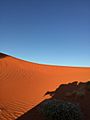 Red dune in Simpson Desert Regional Reserve, Australia