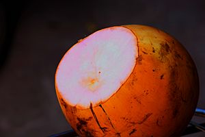 Red king coconut