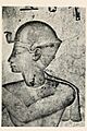 Relief Siamun Petrie