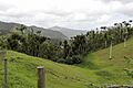 San Lorenzo, Puerto Rico