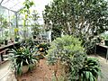 Seasonal Display House - Wellesley College - DSC09724