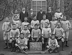 Shamrock Hurling Club, Waterford (17410194315)