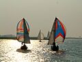 Spinnakers on the River Crouch