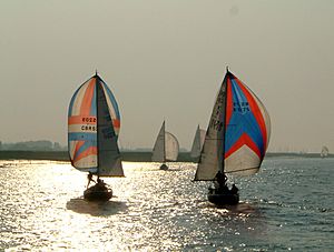 Spinnakers on the River Crouch.jpg