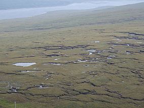 A view of peatlands to the west of Loch Shin.