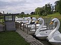 Swan Lake Boats (Light Water Valley)