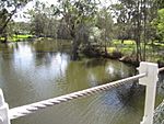 Swing bridge over dora creek