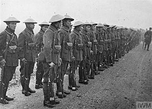 THE FRENCH ARMY ON THE WESTERN FRONT, 1914-1918 Q102976