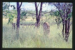 Tabletop Cemetery (2000).jpg