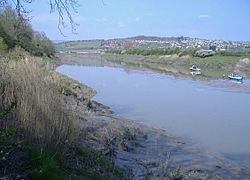 The River Usk, looking downstream - geograph.org.uk - 398132.jpg