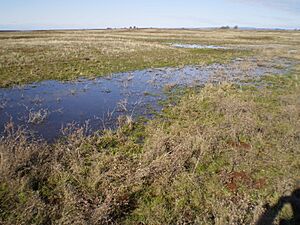 Vernal Pool NTMER