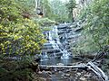 Victoria Cascades