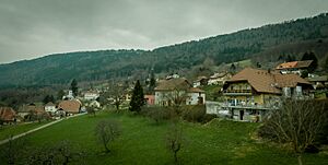 View of Villars-Burquin (Tévenon, Vaud)