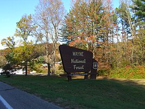 WNF CIMG0448